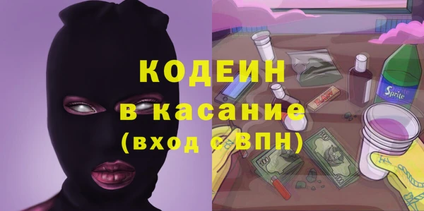твердый Краснослободск