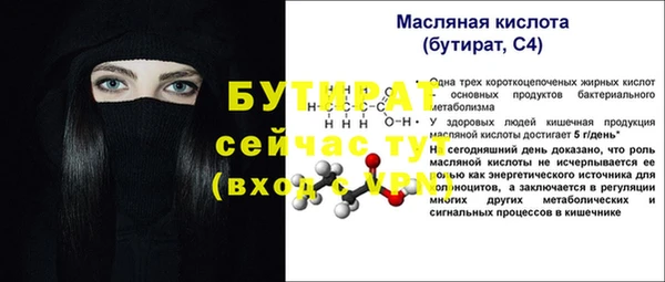 твердый Краснослободск
