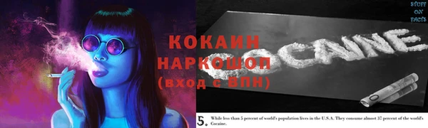 твердый Краснослободск