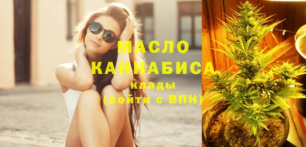 твердый Краснослободск