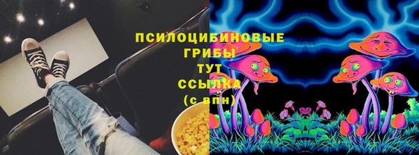 твердый Краснослободск