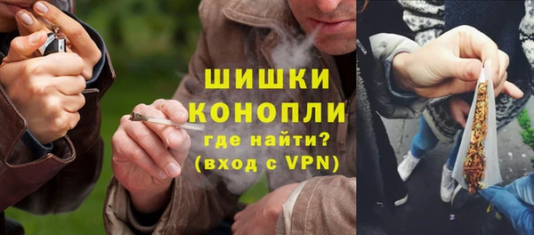 твердый Краснослободск